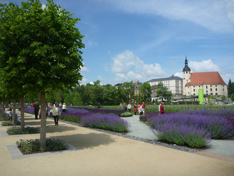 Blick vom Park der Generationen zur Stadtkirche Reichenbach/V.
