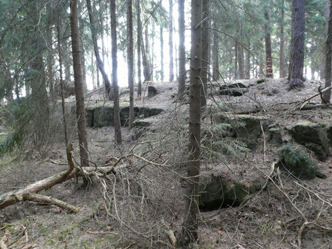 Sandstein im Tharandter Wald