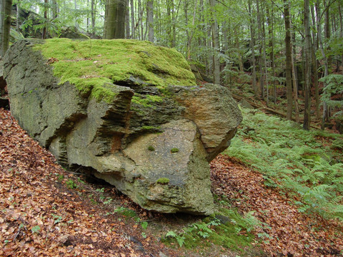 "Felsen "Schweinel"