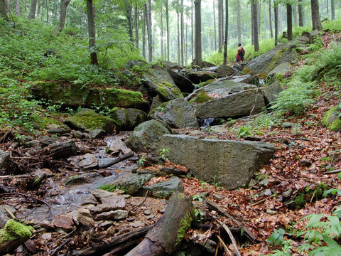 Der Dörfelbach