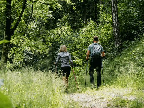 in den Wäldern des Erzgebirges