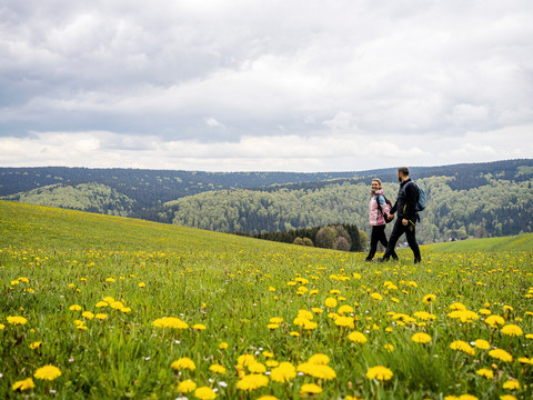 oberhalb von Holzhau