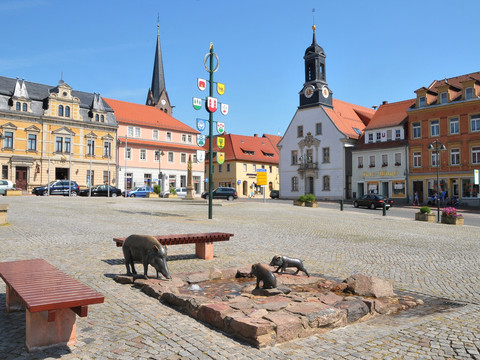 Sau mit ihren Frischlingen