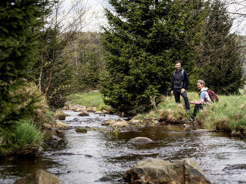 im Tal der Wilden Weißeritz