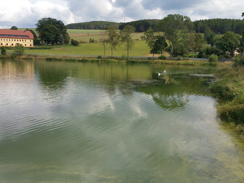 Dittmannsdorfer Teich mit Kunstgrabensystem (UNESCO-Welterbe-Bestandteil)