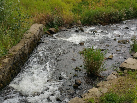 Zulauf Dörnthaler Teich
