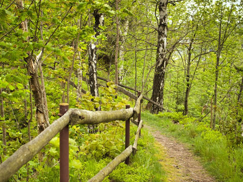 bei der Binge Seiffen