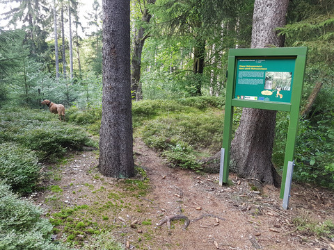 Gewässerlehrpfad Eubabrunn