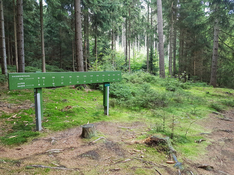 Gewässer-Erlebnispfad Eubabrunn