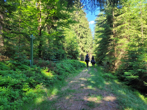 Reiter am Gewässererlebnispfad