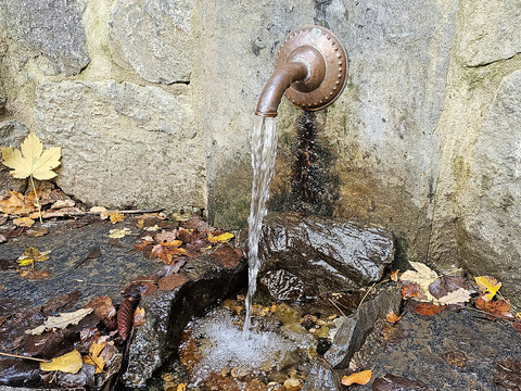 Waldquellenrundweg Langenwolschendorf - Waldquelle