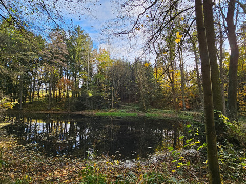 Waldquellenrundweg Langenwolschendorf