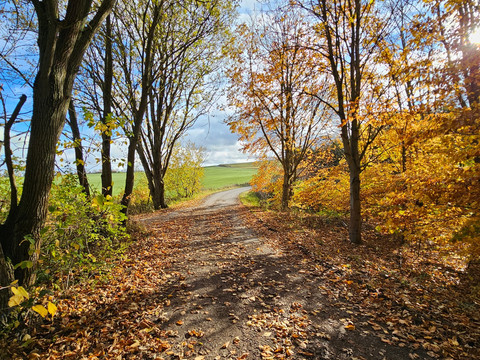 Waldquellenrundweg Langenwolschendorf