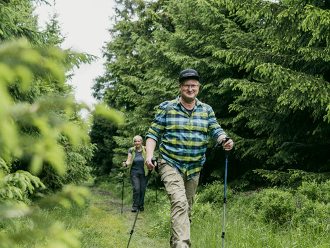 Wald soweit das Auge reicht