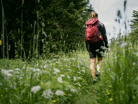 am Waldrand unterwegs
