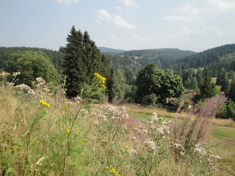 Johanngeorgenstadt - Blick ins Böhmische