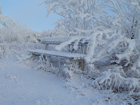 Winterimpressionen in Neuhausen/Erzge.