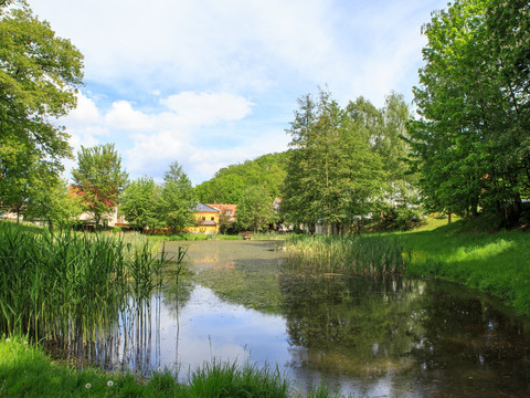 Dorfteich Kleinnaundorf in der Nähe der Kaitzbachquelle