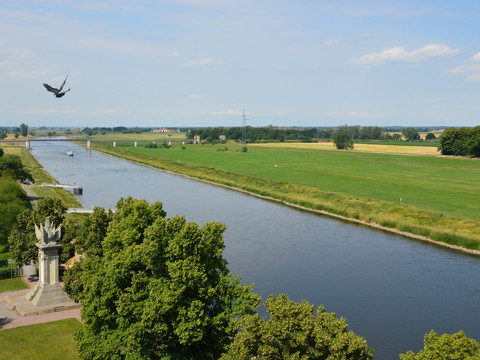 Elbe bei Torgau