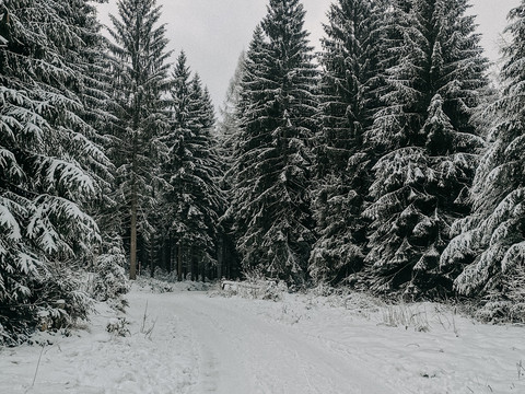 Winterwandern in Grünheide nahe Vogtlandsee