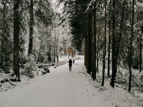 Winterwandern in Grünheide am Hochmoor