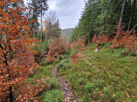 Erlbach entlang der tschechischen Grenze