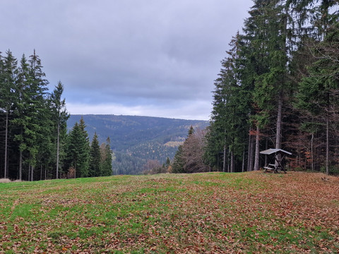 Skipiste am Kegelberg Erlbach im Herbst