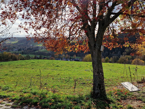 Schaukel nahe Gopplasgrün am Erlbacher Bergweg