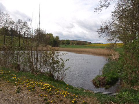 Dittmannsdorfer Flur