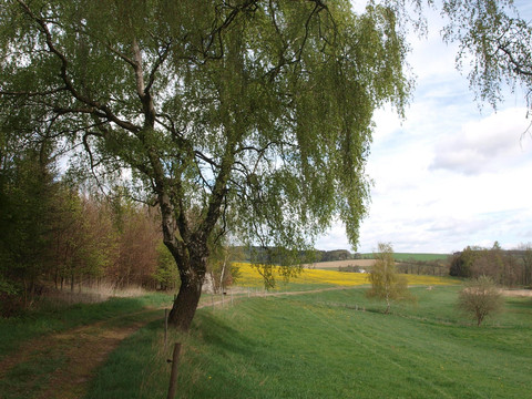 Dittmannsdorfer Flur