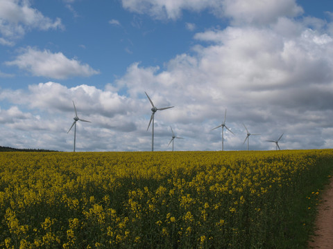 Windmühlenpark Dittmannsdorf