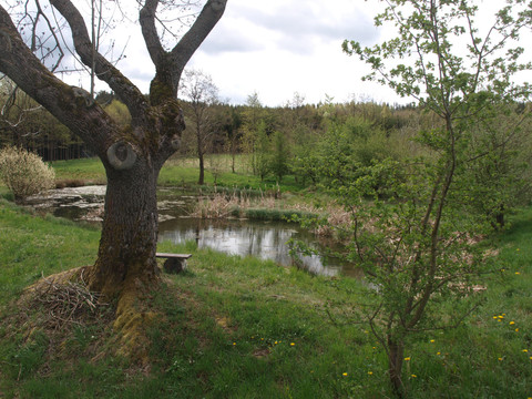 Dittmannsdorfer Flur