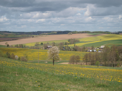 Blick nach Dittmannsdorf