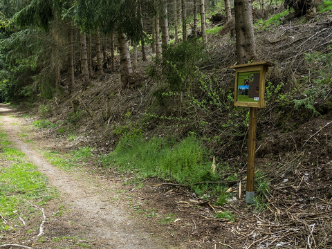 Wanderweg mit Infotafel
