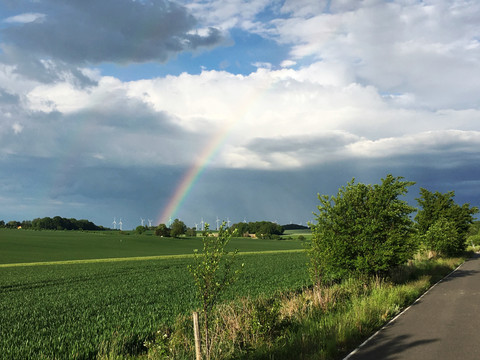 Kreisbahnradweg, Königshain