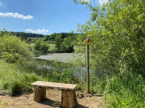 Bank auf dem Bienenlehrpfad Jahnsgrün und Oberhartmannsdorfer Rundweg am Jahnsgrüner Teich