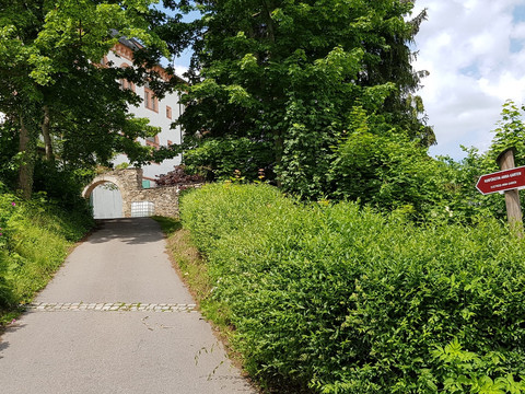 Schlossrundweg vom Parkplatz zum Kurfürstin-Anna-Garten