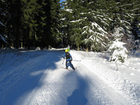 Langlauf Geyerscher Wald