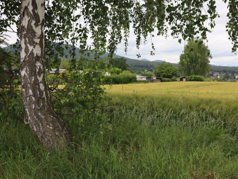 Blick auf die Lausche