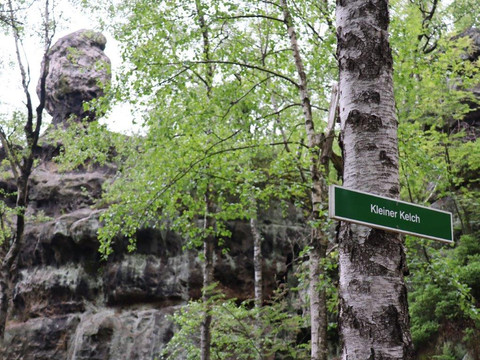 Am Töpferaufstieg der kleine Kelch