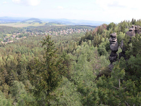 Blick vom Orgelplatz