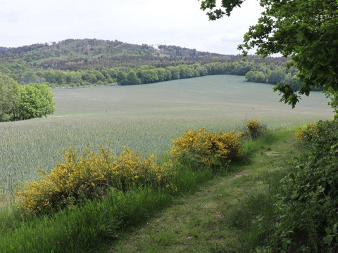 Blick auf den Czorneboh