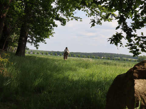 Wanderweg bei Kamenz in Richtung Nebelschütz