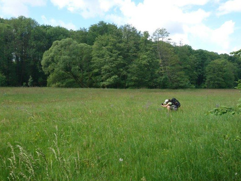 Pilgerer im Schöpstal