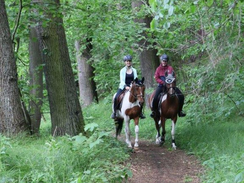 Reiter im Schöpstal