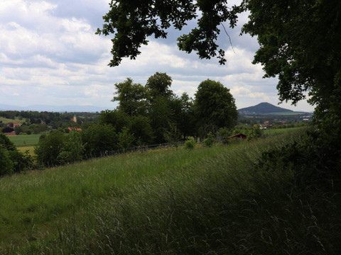 Auf dem Kapellenberg mit Blick auf die Landeskrone