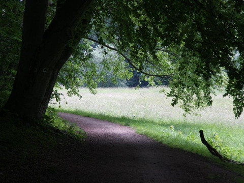 Feldmühlgraben auf dem Weg zur Landeskrone