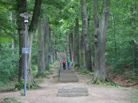 Lindenalleeaufstieg