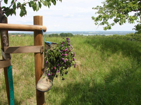 Detailfoto mit Berzdorfersee