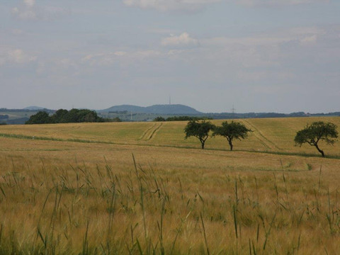 Blick zum Löbauer Berg